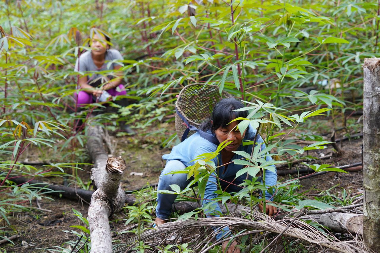 Foto: © Visión Amazonía.