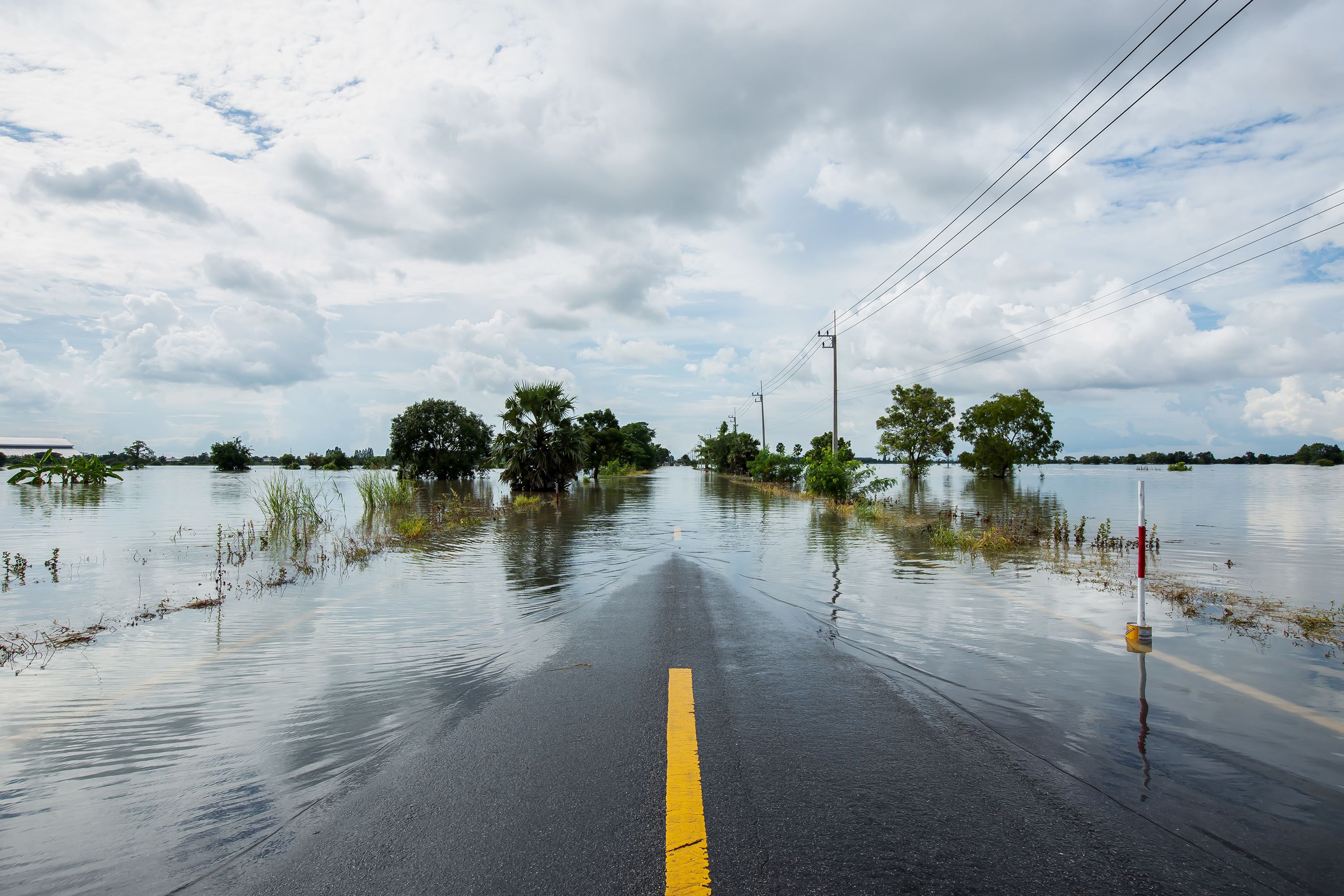 Solidarity in disaster Solidarity in disaster