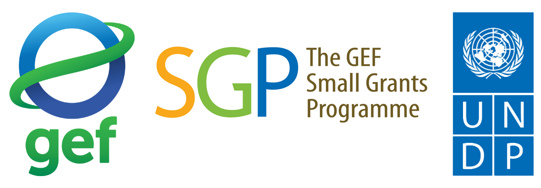 Small Grants Programme - Theirworld